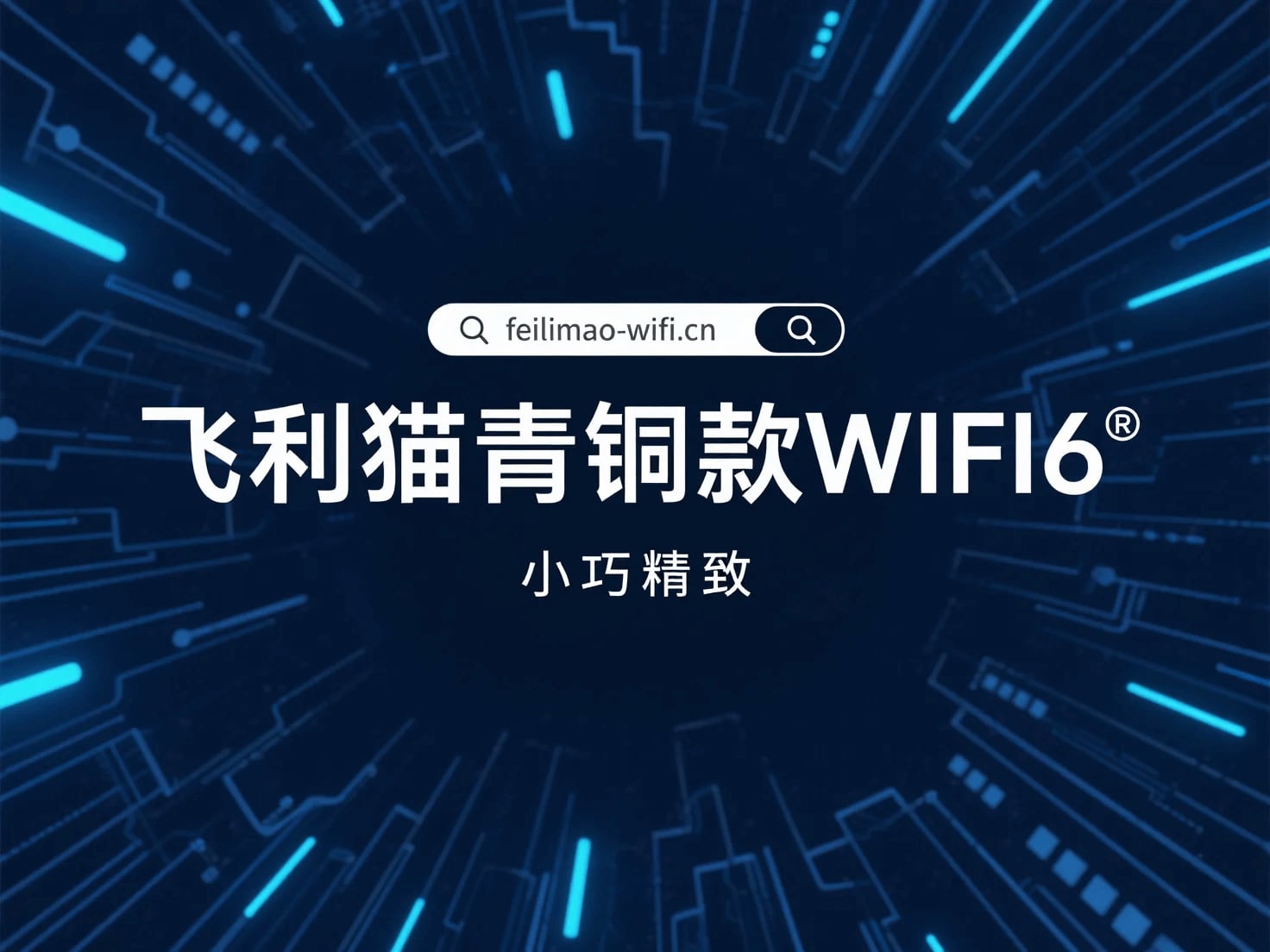 飞利猫青铜款WiFi设备展示